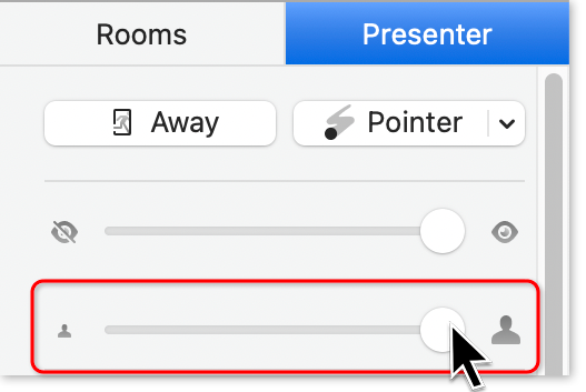 mmhmm studio presenter size.png